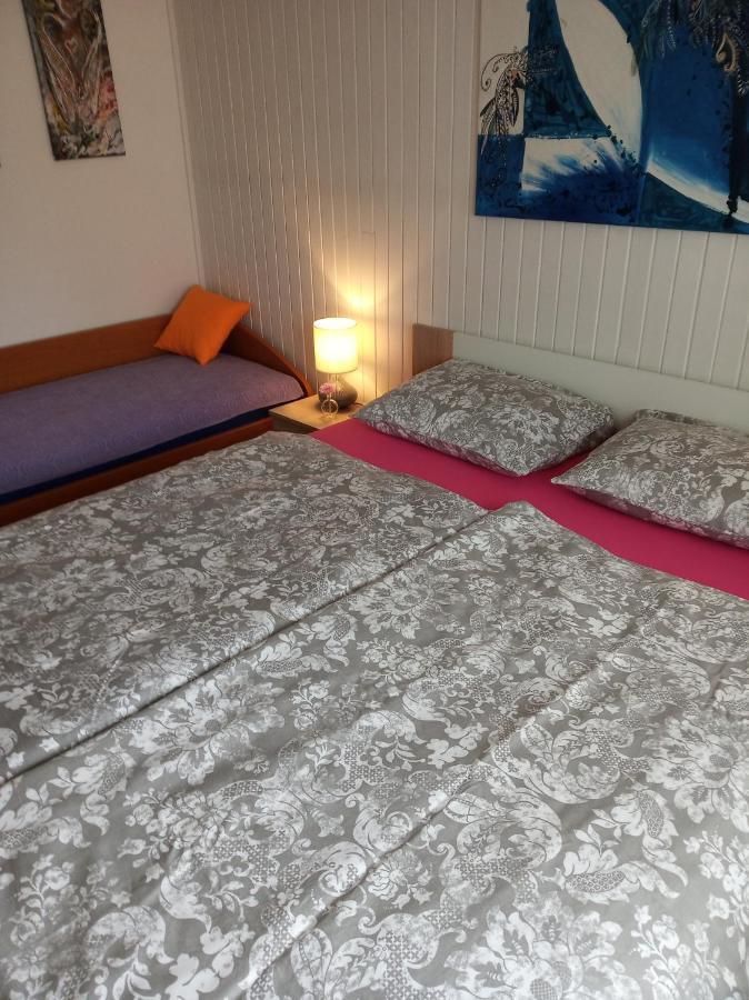 Apartment Janja ヴォイニク エクステリア 写真