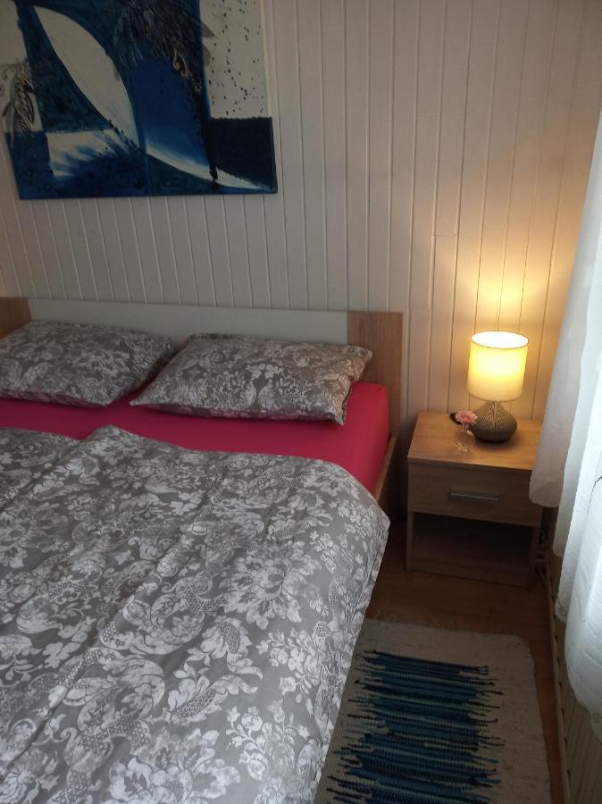 Apartment Janja ヴォイニク エクステリア 写真