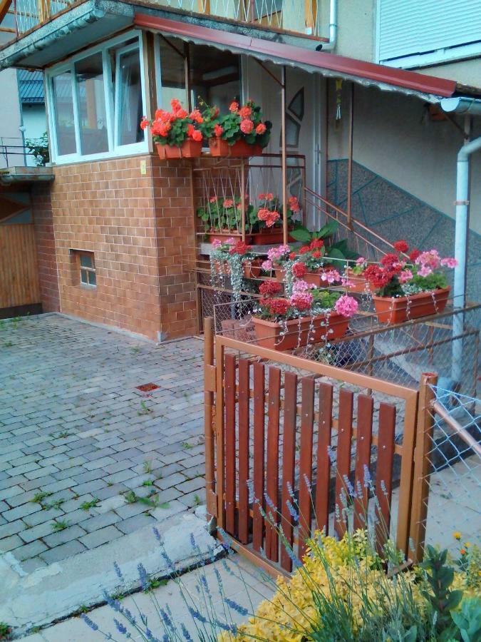 Apartment Janja ヴォイニク エクステリア 写真