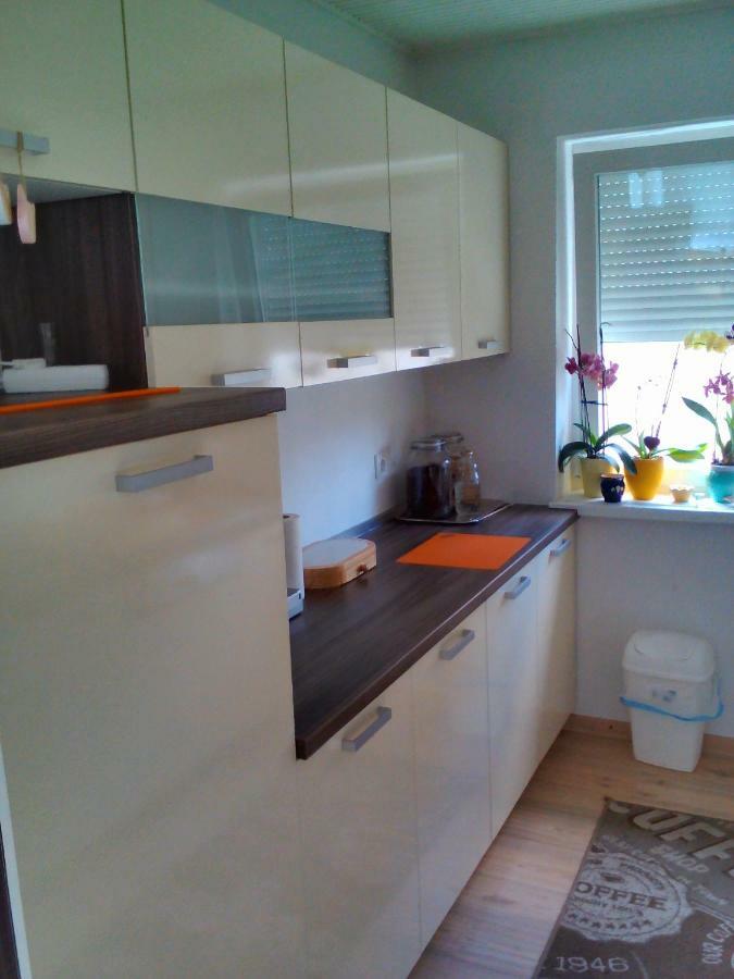 Apartment Janja ヴォイニク エクステリア 写真