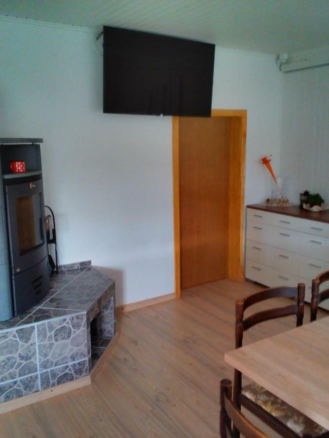 Apartment Janja ヴォイニク エクステリア 写真