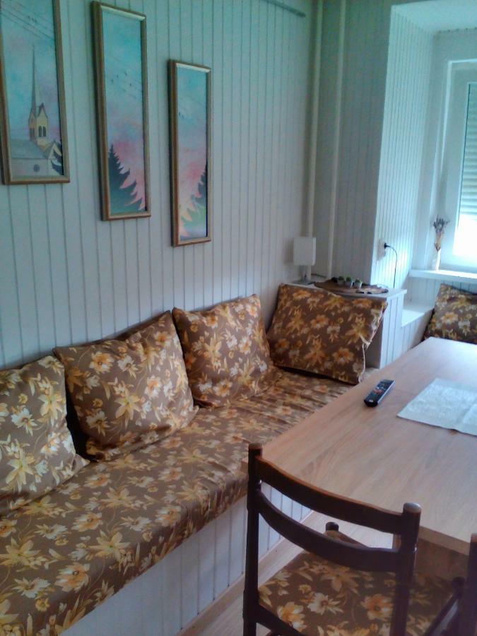 Apartment Janja ヴォイニク エクステリア 写真