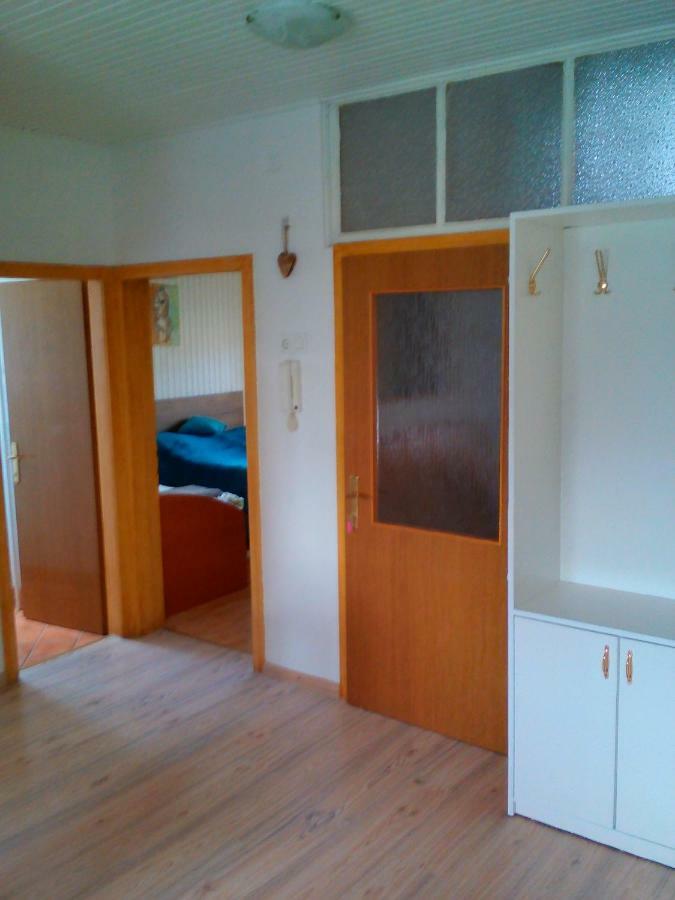 Apartment Janja ヴォイニク エクステリア 写真