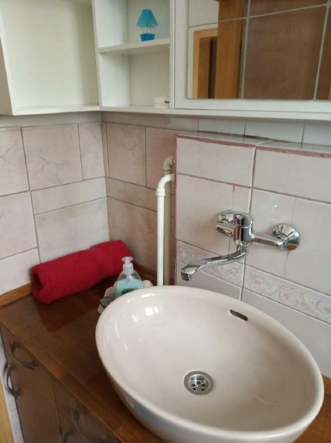 Apartment Janja ヴォイニク エクステリア 写真