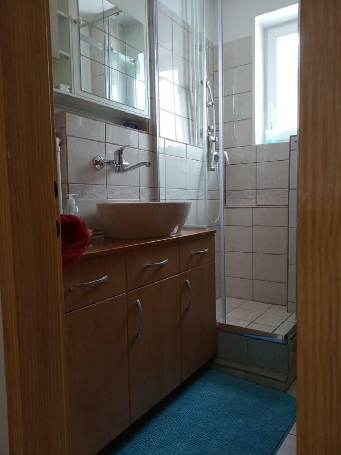 Apartment Janja ヴォイニク エクステリア 写真