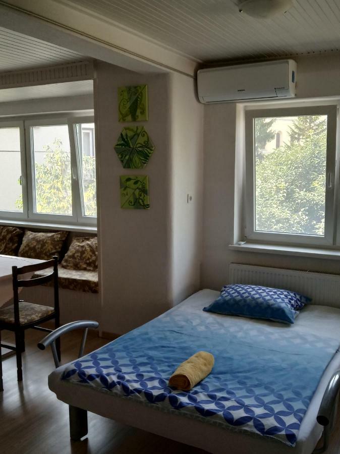 Apartment Janja ヴォイニク エクステリア 写真